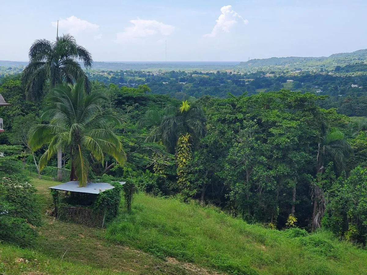 Solar Country Bungalow Free Parking And Wifi Villa Moca Puerto Rico