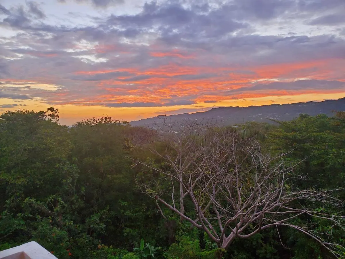 Solar Country Bungalow Free Parking And Wifi Villa Moca 0*,  Puerto Rico